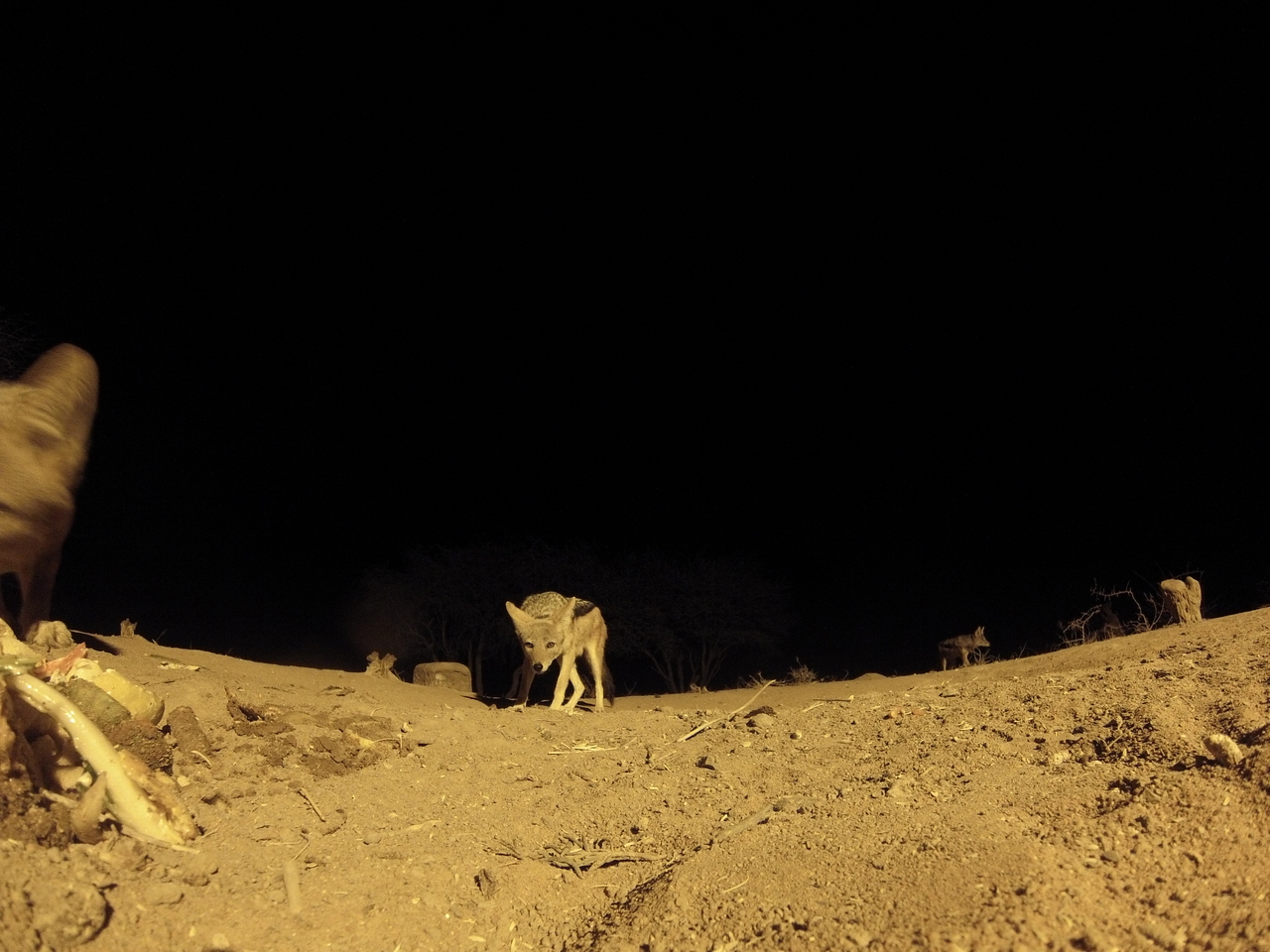[10173] 2016_06_23_19_01_08_Africa_Hero3-Silver_Edition_IMG__01101.jpg