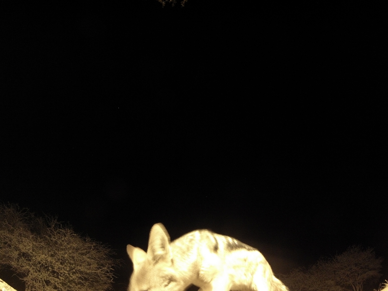 [10513] 2016_06_23_19_06_33_Africa_Hero3-Silver_Edition_IMG__01200.jpg