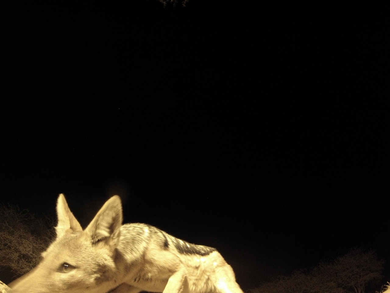 [10518] 2016_06_23_19_06_39_Africa_Hero3-Silver_Edition_IMG__00754.jpg