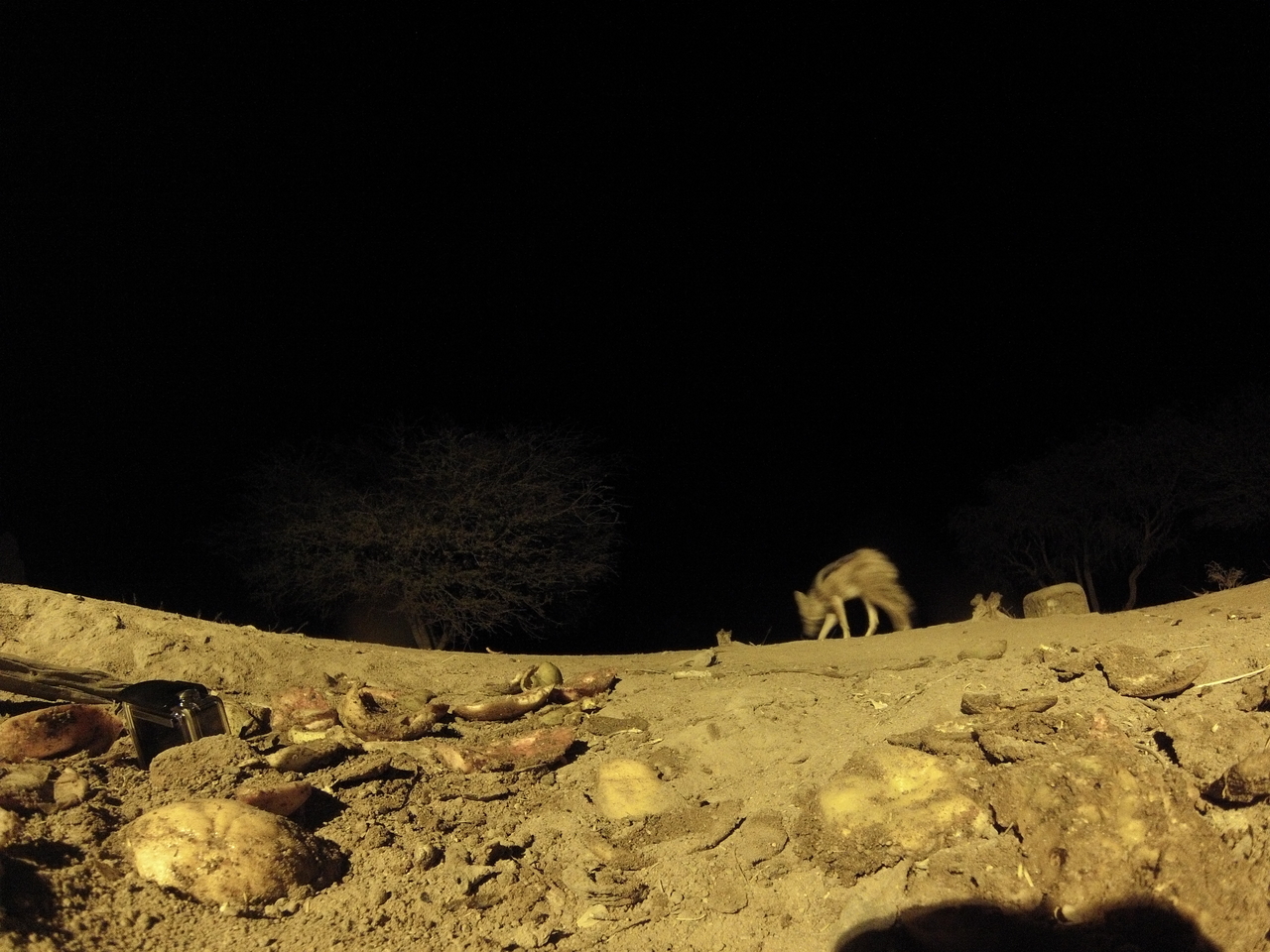 [10840] 2016_06_23_19_51_34_Africa_Hero3-Silver_Edition_IMG__01291.jpg