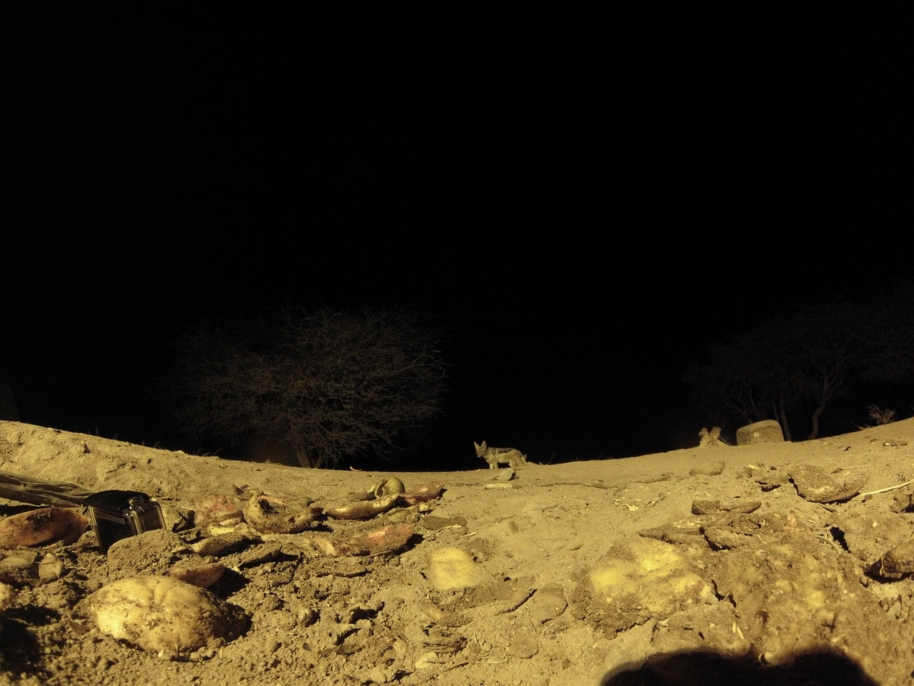 [10874] 2016_06_23_19_52_06_Africa_Hero3-Silver_Edition_IMG__01301.jpg