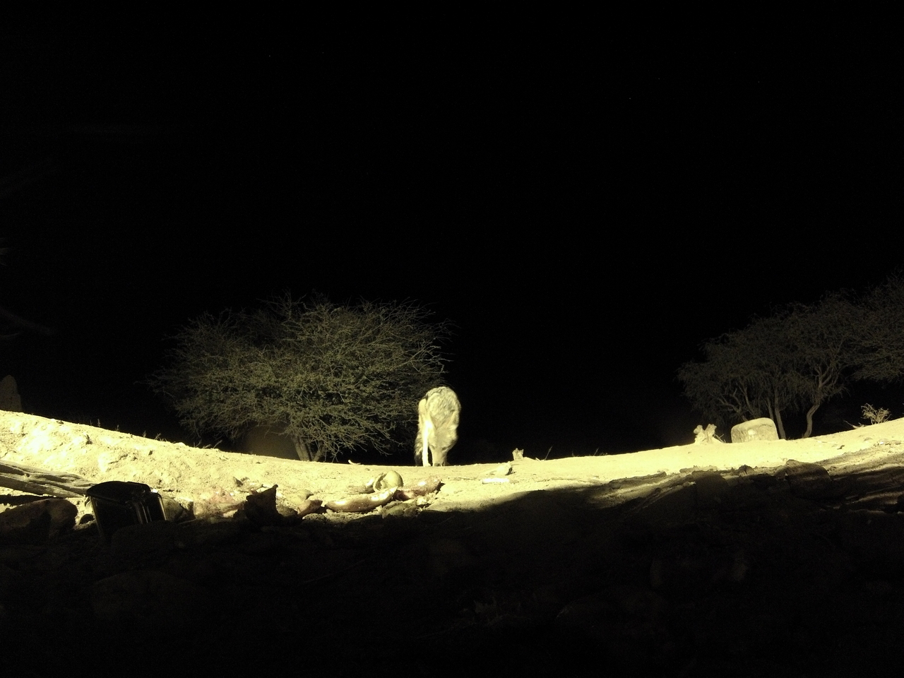 [10966] 2016_06_23_19_53_45_Africa_Hero3-Silver_Edition_IMG__01328.jpg