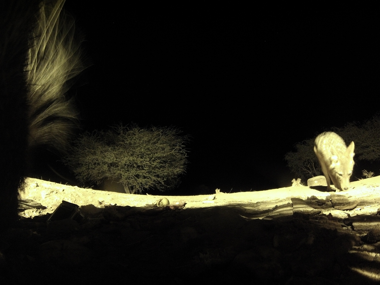 [11013] 2016_06_23_19_54_37_Africa_Hero3-Silver_Edition_IMG__00893.jpg