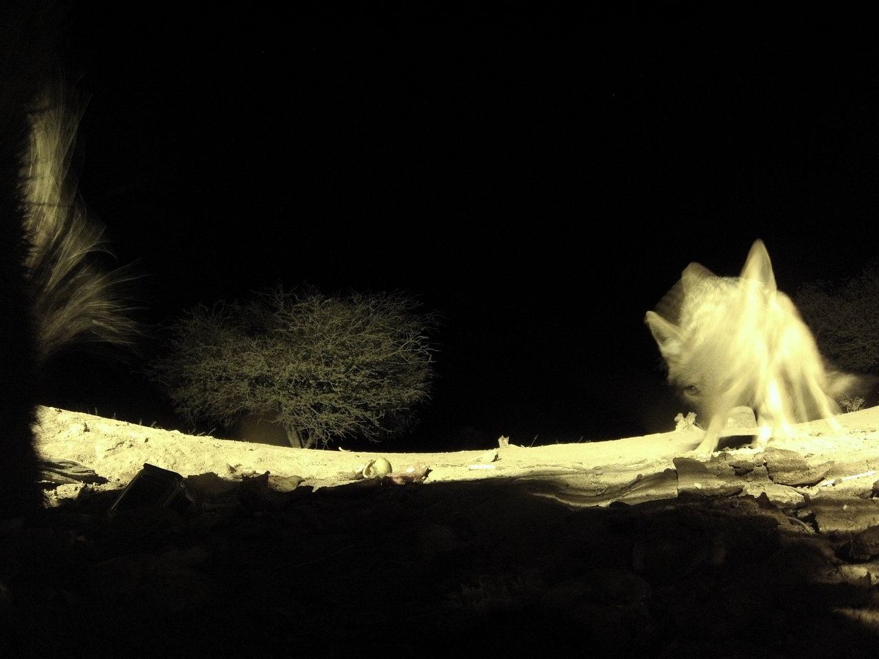 [11032] 2016_06_23_19_54_57_Africa_Hero3-Silver_Edition_IMG__01346.jpg