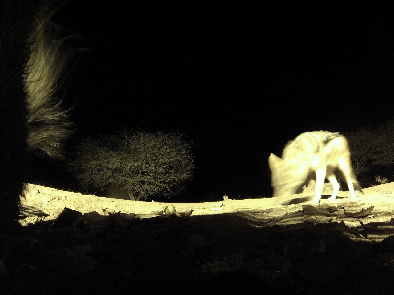 [11034] 2016_06_23_19_55_01_Africa_Hero3-Silver_Edition_IMG__01347.jpg