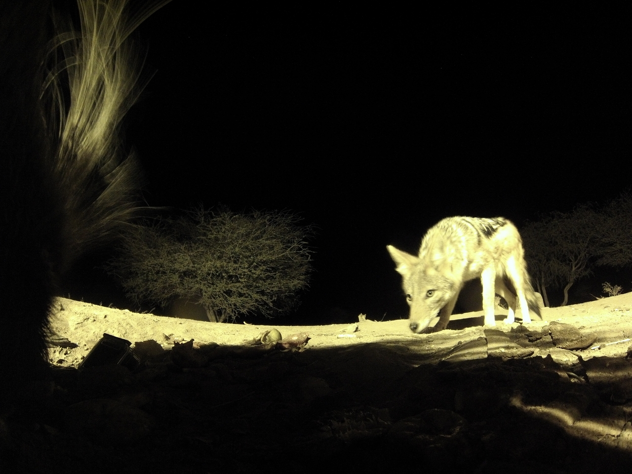 [11045] 2016_06_23_19_55_13_Africa_Hero3-Silver_Edition_IMG__00902.jpg