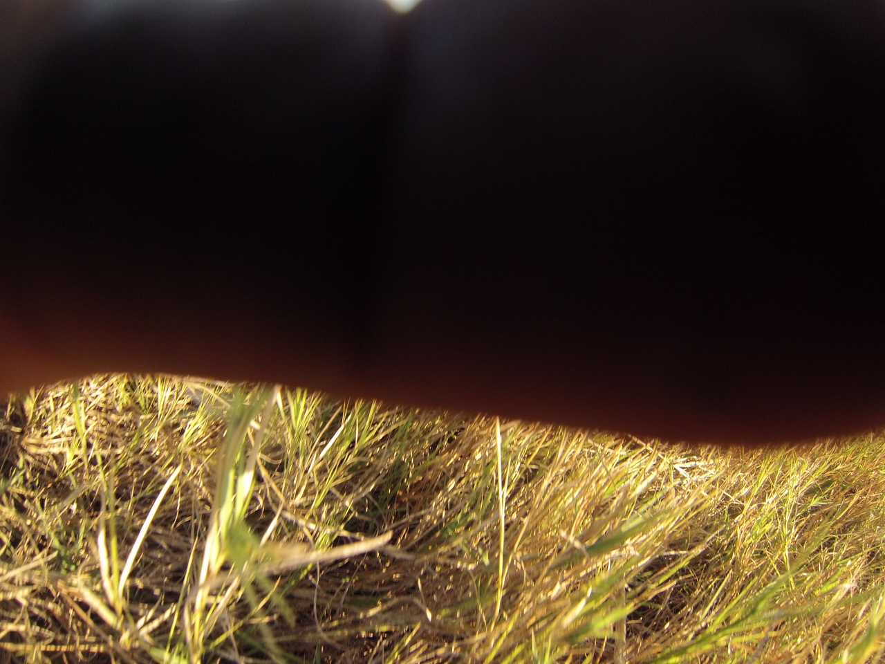 [25351] 2016_06_30_15_00_27_Africa_Hero3-Silver_Edition_IMG__00546.jpg