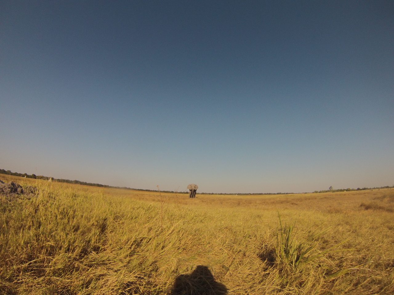 [25382] 2016_06_30_15_00_47_Africa_Hero3-Silver_Edition_IMG__01502.jpg