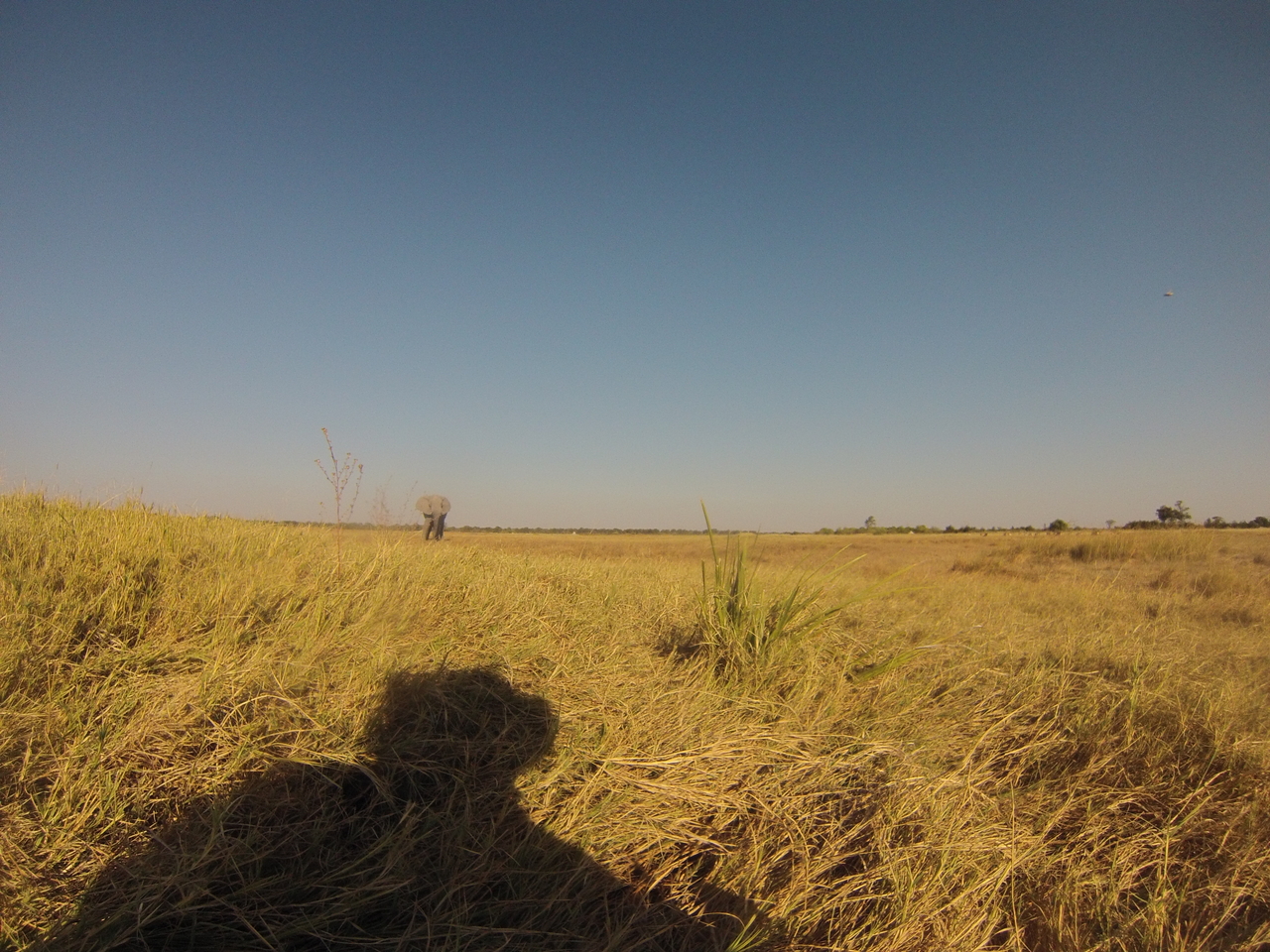 [25386] 2016_06_30_15_00_49_Africa_Hero3-Silver_Edition_IMG__01951.jpg