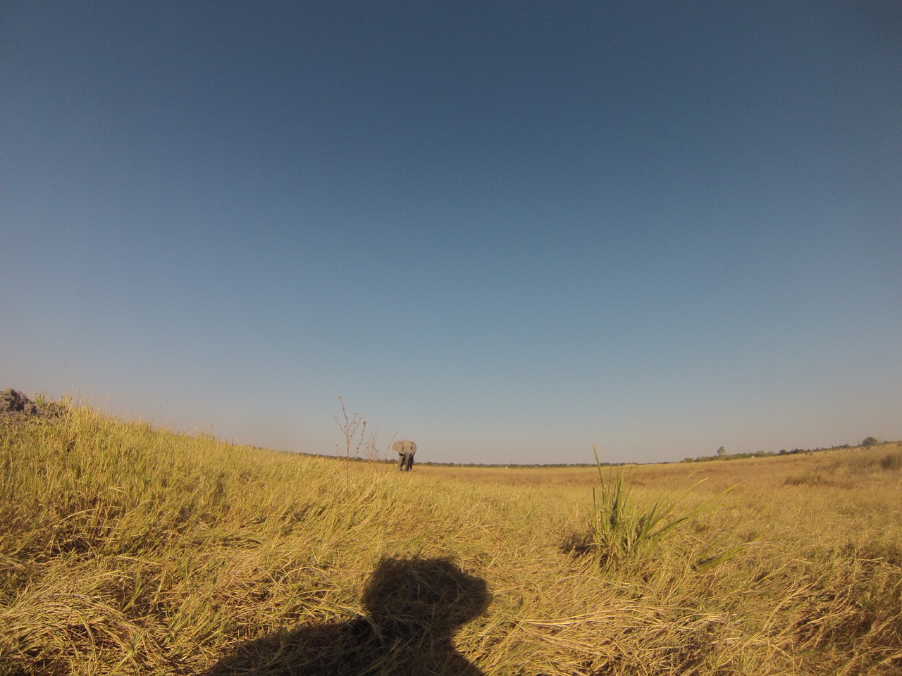 [25393] 2016_06_30_15_00_57_Africa_Hero3-Silver_Edition_IMG__00560.jpg