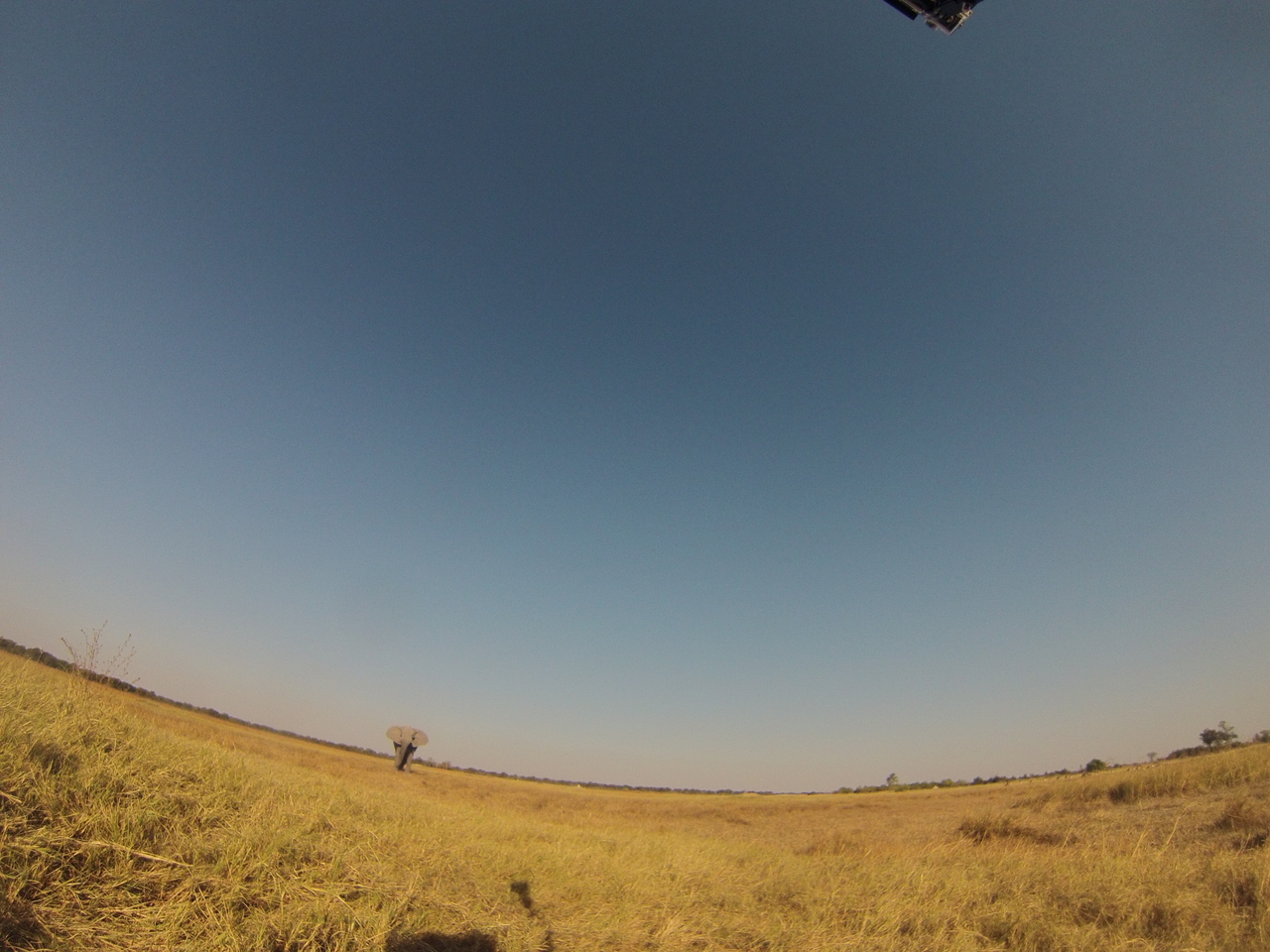 [25450] 2016_06_30_15_01_35_Africa_Hero3-Silver_Edition_IMG__00579.jpg