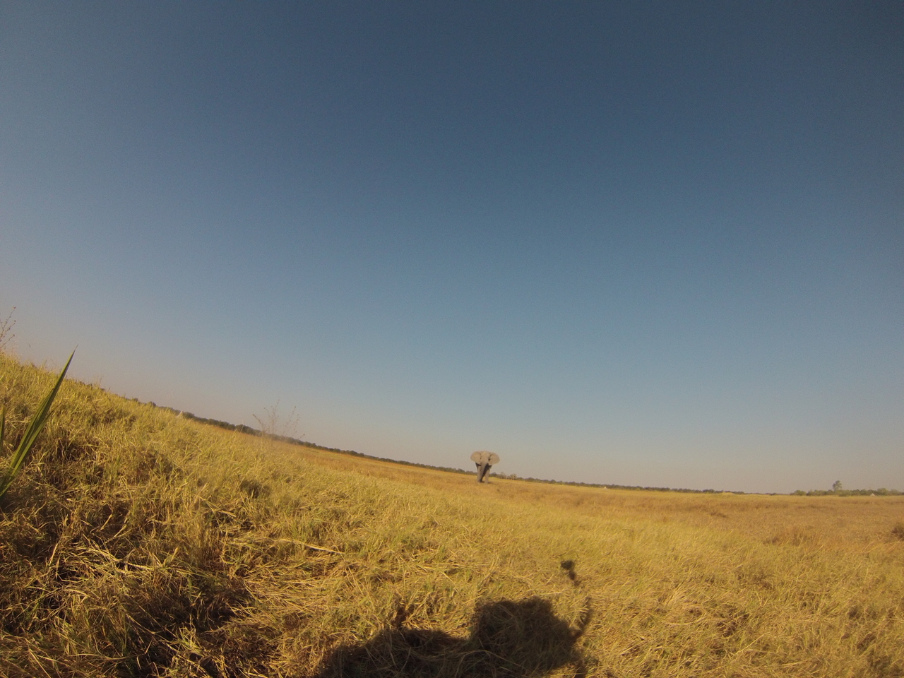 [25453] 2016_06_30_15_01_37_Africa_Hero3-Silver_Edition_IMG__00580.jpg