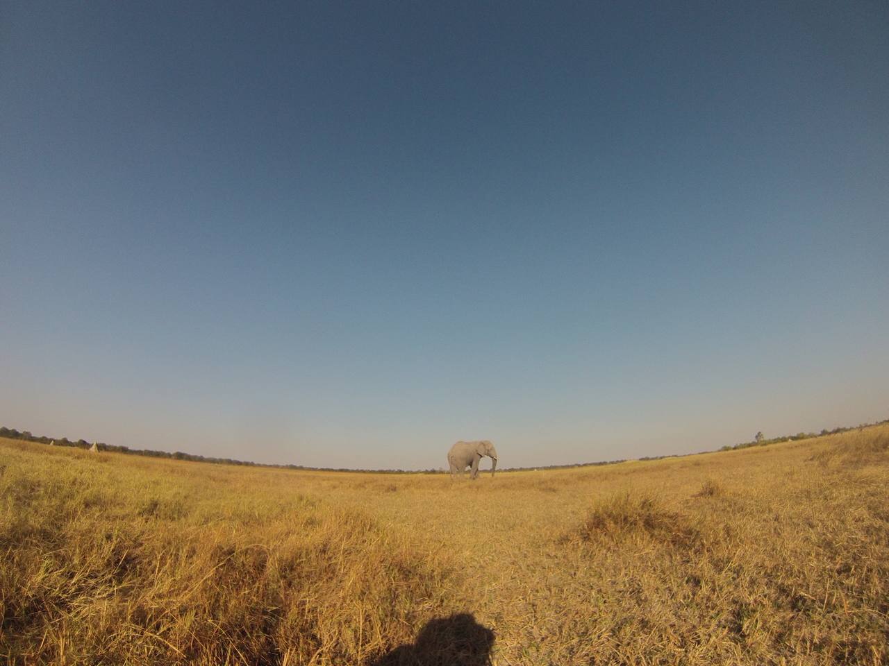 [25739] 2016_06_30_15_04_53_Africa_Hero3-Silver_Edition_IMG__01621.jpg