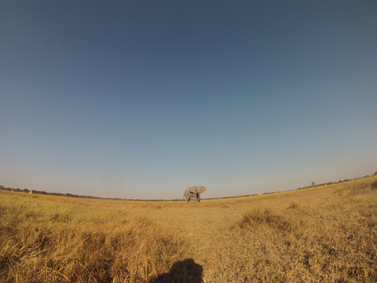[25742] 2016_06_30_15_04_55_Africa_Hero3-Silver_Edition_IMG__01622.jpg