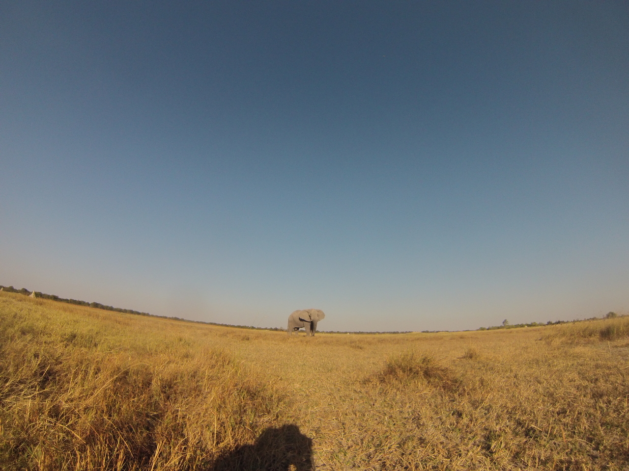 [25745] 2016_06_30_15_04_57_Africa_Hero3-Silver_Edition_IMG__01623.jpg