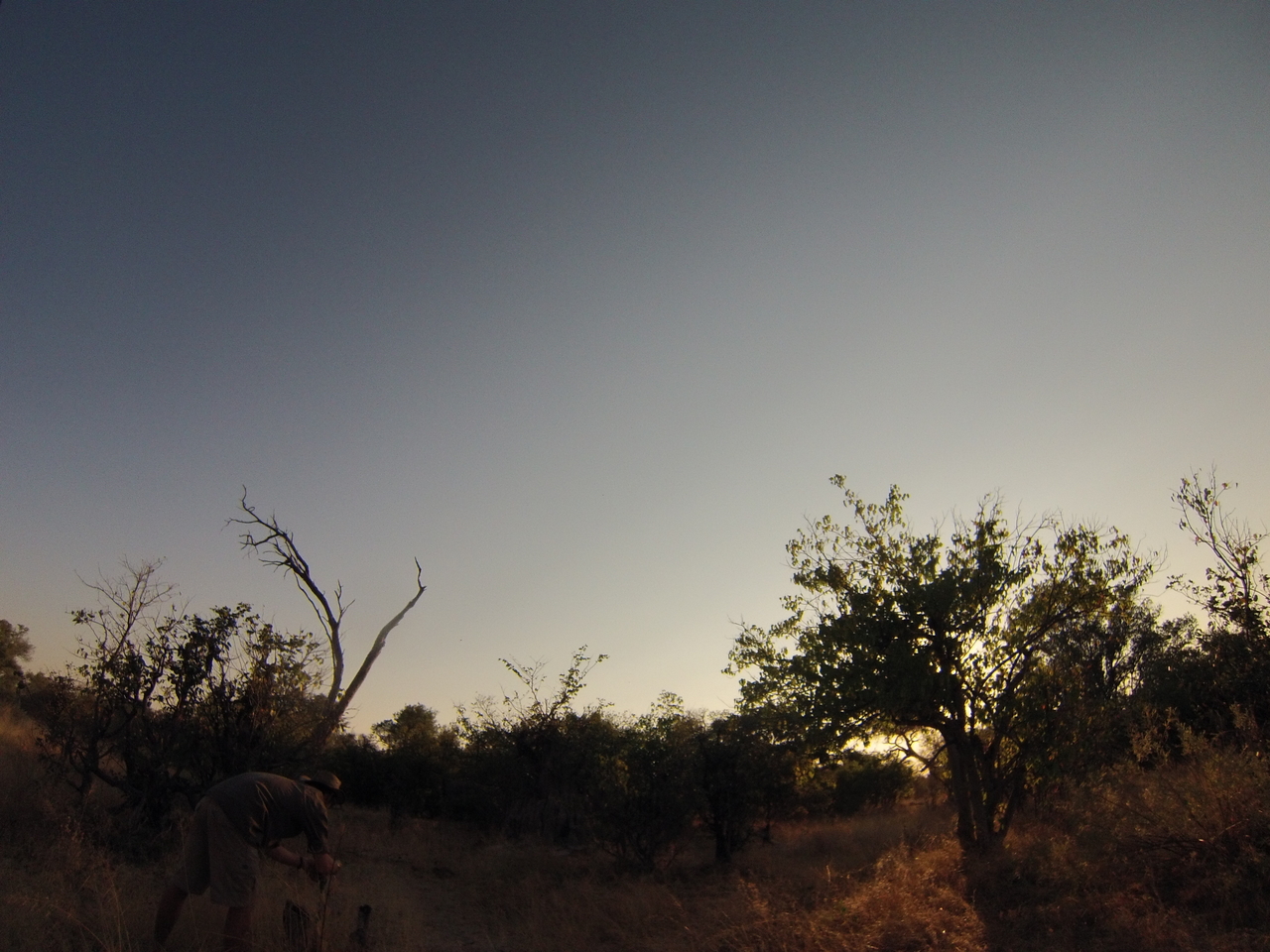 [25831] 2016_06_30_16_04_02_Africa_Hero3-Silver_Edition_IMG__02090.jpg