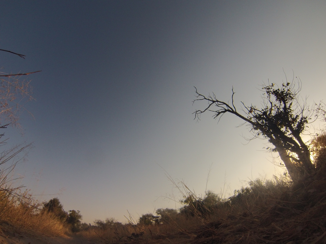 [25966] 2016_06_30_16_05_26_Africa_Hero3-Silver_Edition_IMG__02132.jpg