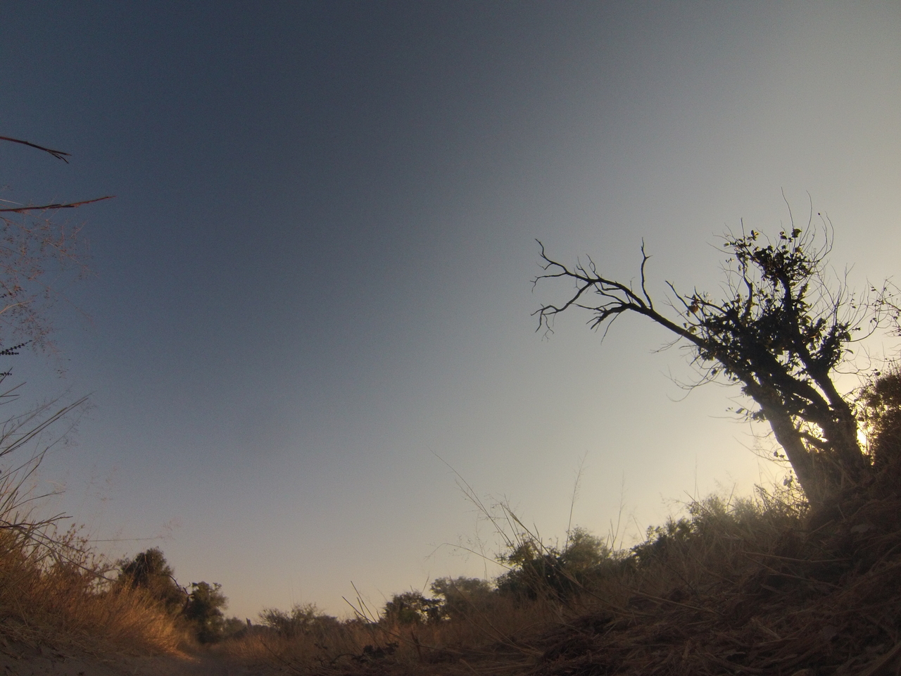 [26140] 2016_06_30_16_07_24_Africa_Hero3-Silver_Edition_IMG__02190.jpg