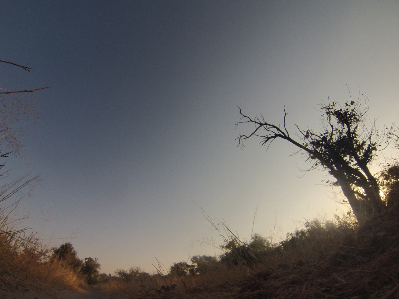 [26149] 2016_06_30_16_07_30_Africa_Hero3-Silver_Edition_IMG__02193.jpg