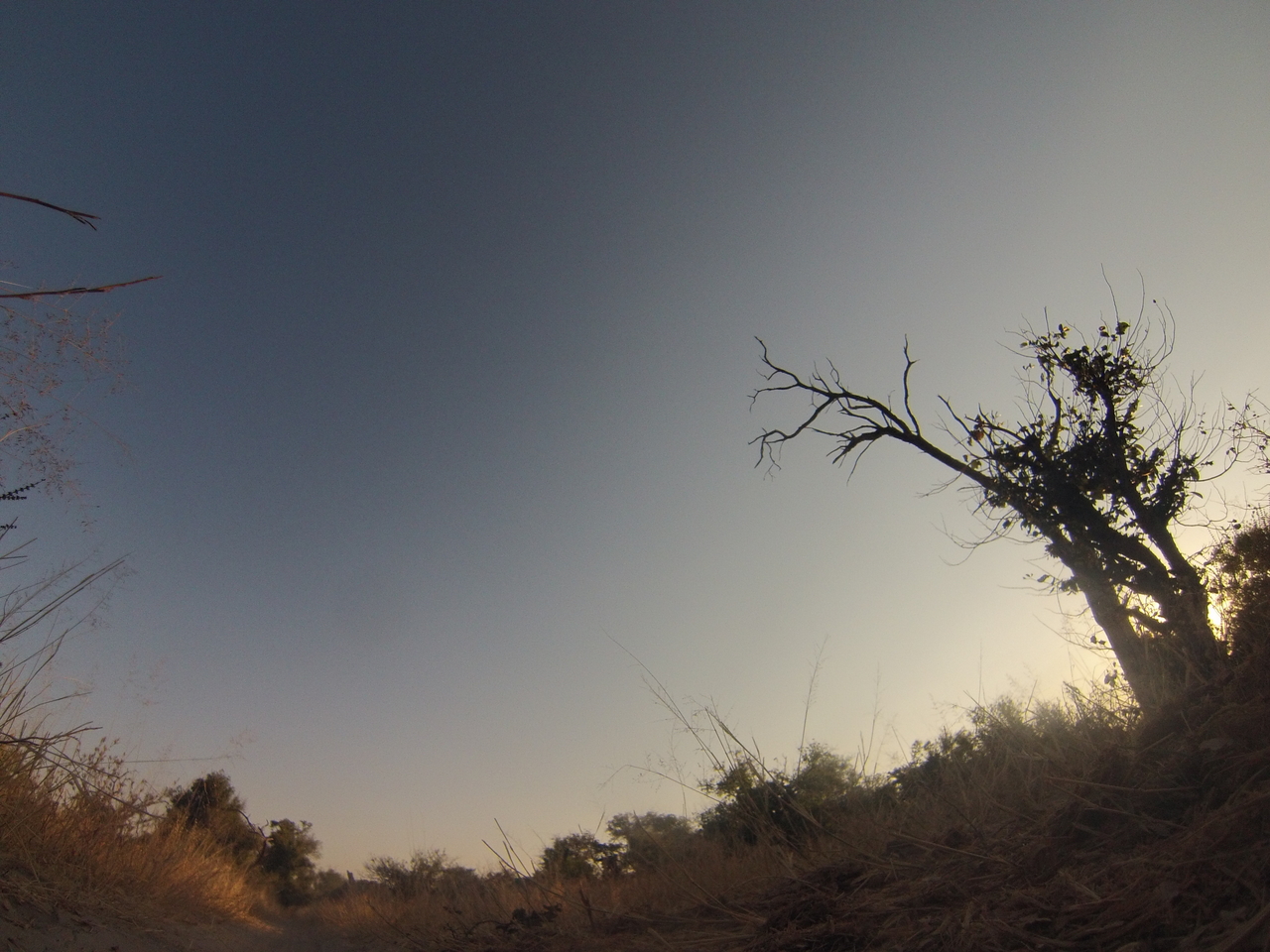 [26153] 2016_06_30_16_07_34_Africa_Hero3-Silver_Edition_IMG__00801.jpg