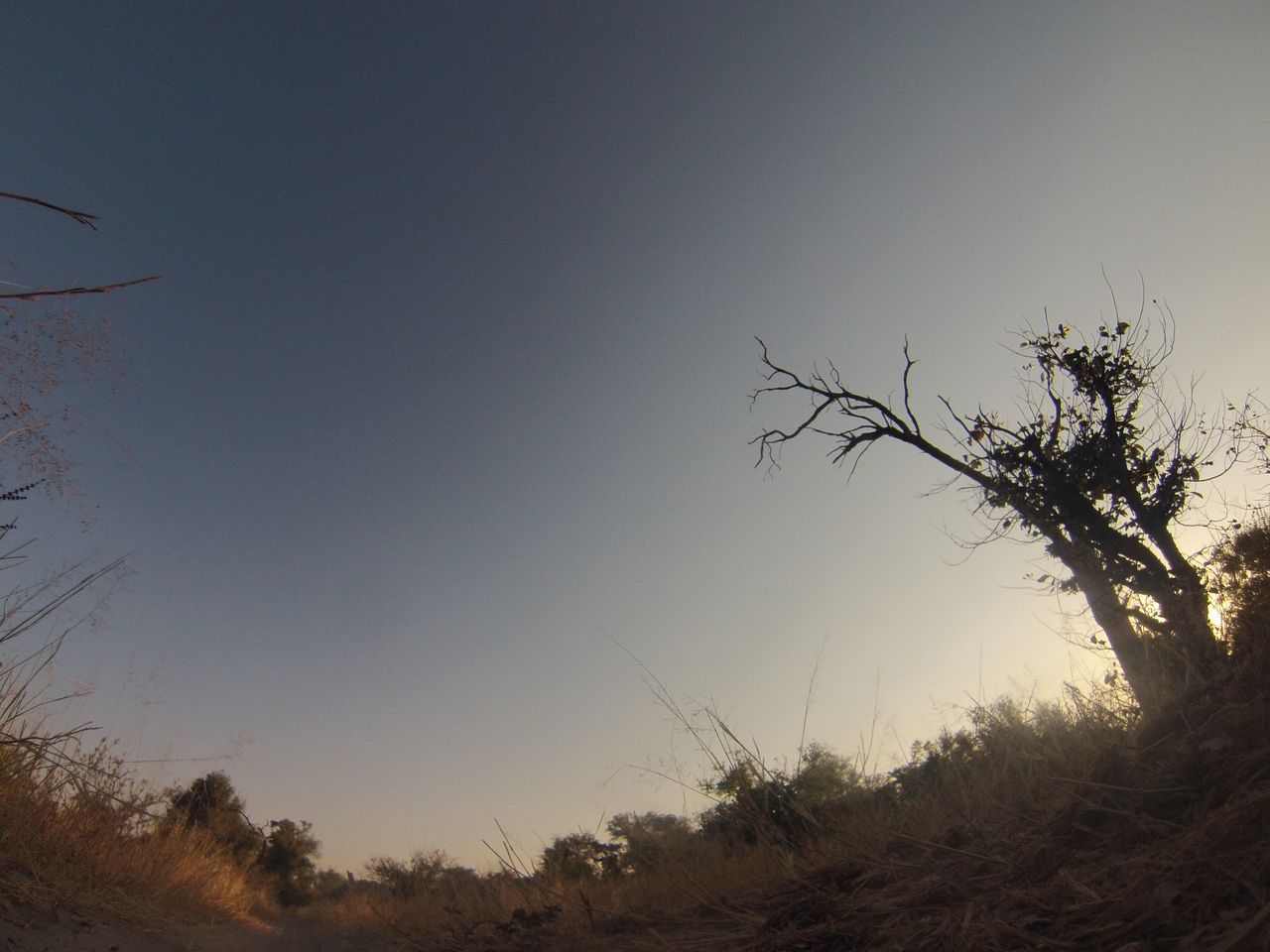 [26182] 2016_06_30_16_07_52_Africa_Hero3-Silver_Edition_IMG__02204.jpg