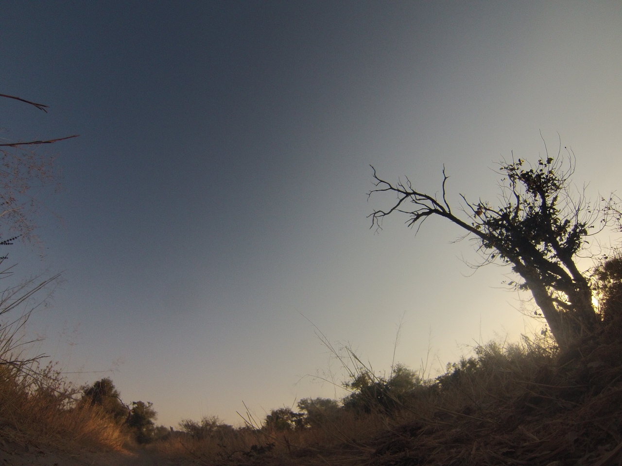[26229] 2016_06_30_16_08_24_Africa_Hero3-Silver_Edition_IMG__01772.jpg