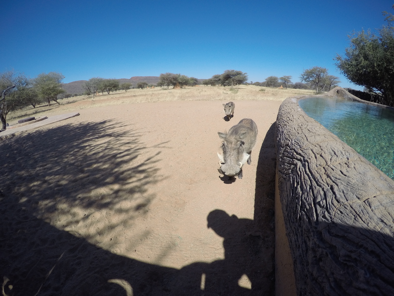[2179] 2016_06_22_06_00_03_Africa_HERO4_Silver_IMG__04579.jpg