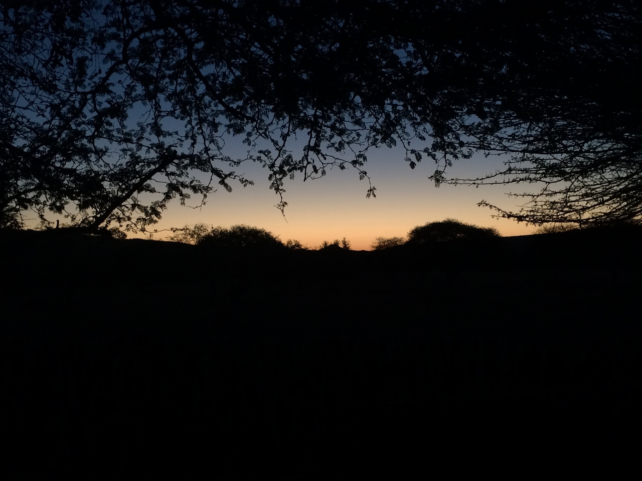 [439] 2016_06_22_01_03_26_Africa_iPhone_5s_IMG__00123.jpg