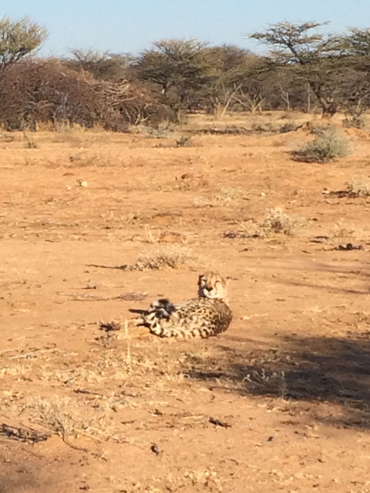 [905] 2016_06_22_02_48_45_Africa_iPhone_5s_IMG_8051_00146.jpg