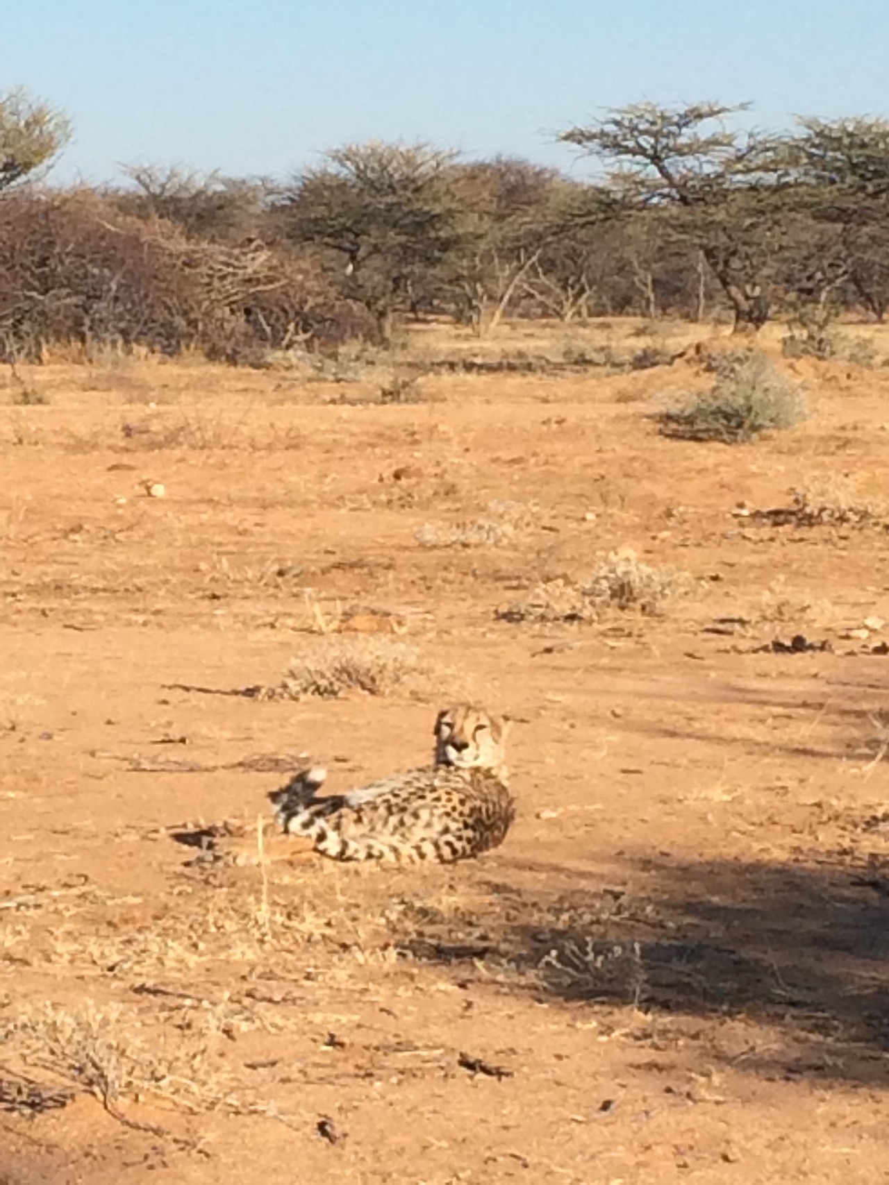 [921] 2016_06_22_02_48_50_Africa_iPhone_5s_IMG_8053_00148.jpg