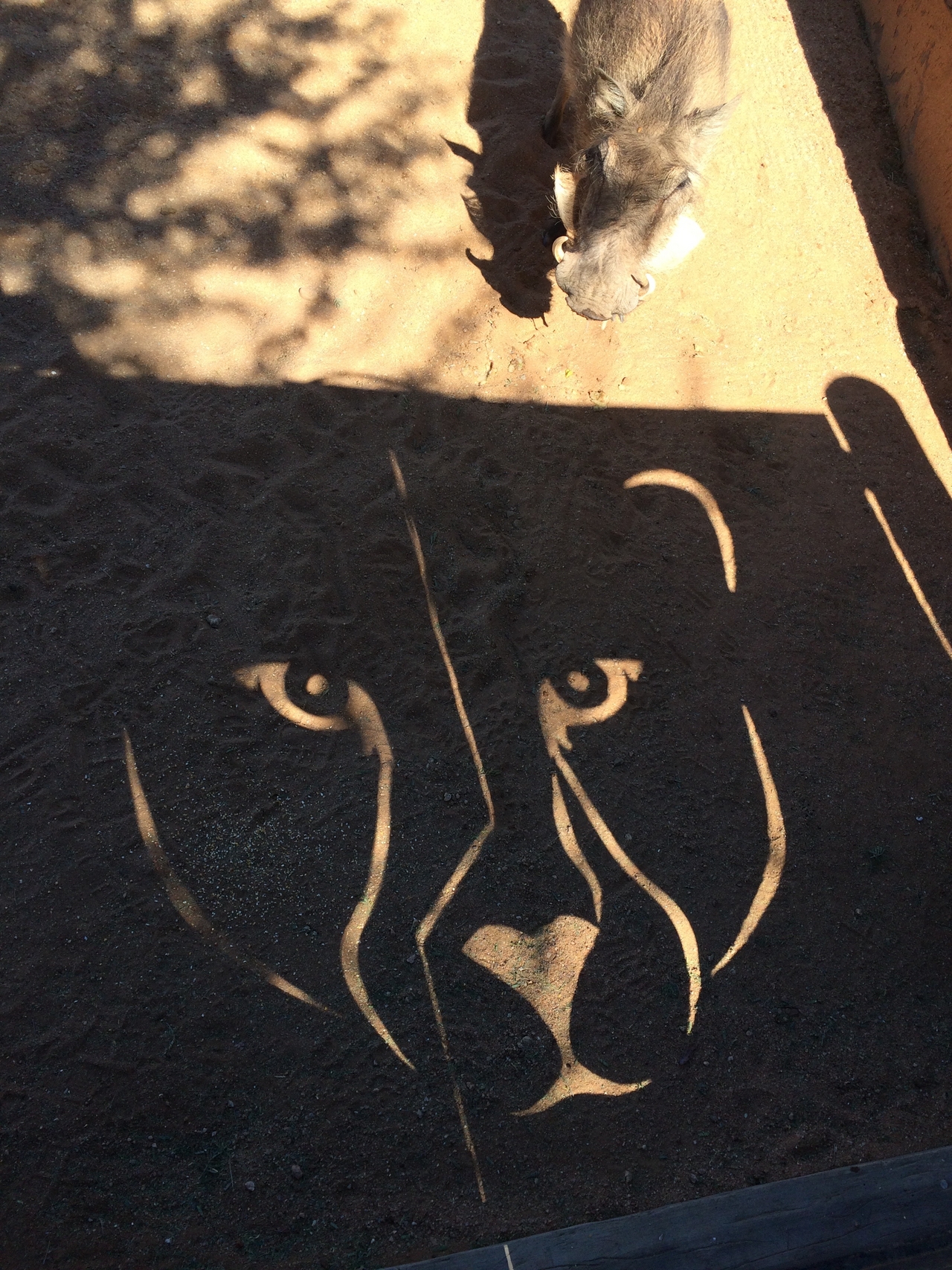 [2187] 2016_06_22_06_00_18_Africa_iPhone_5s_IMG__05803.jpg