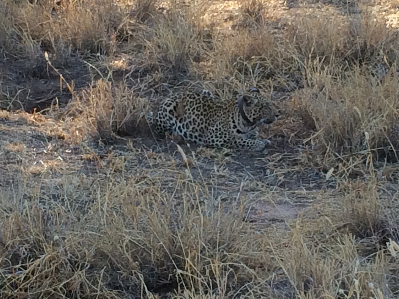 [2590] 2016_06_22_10_59_15_Africa_iPhone_5s_IMG__00211.jpg