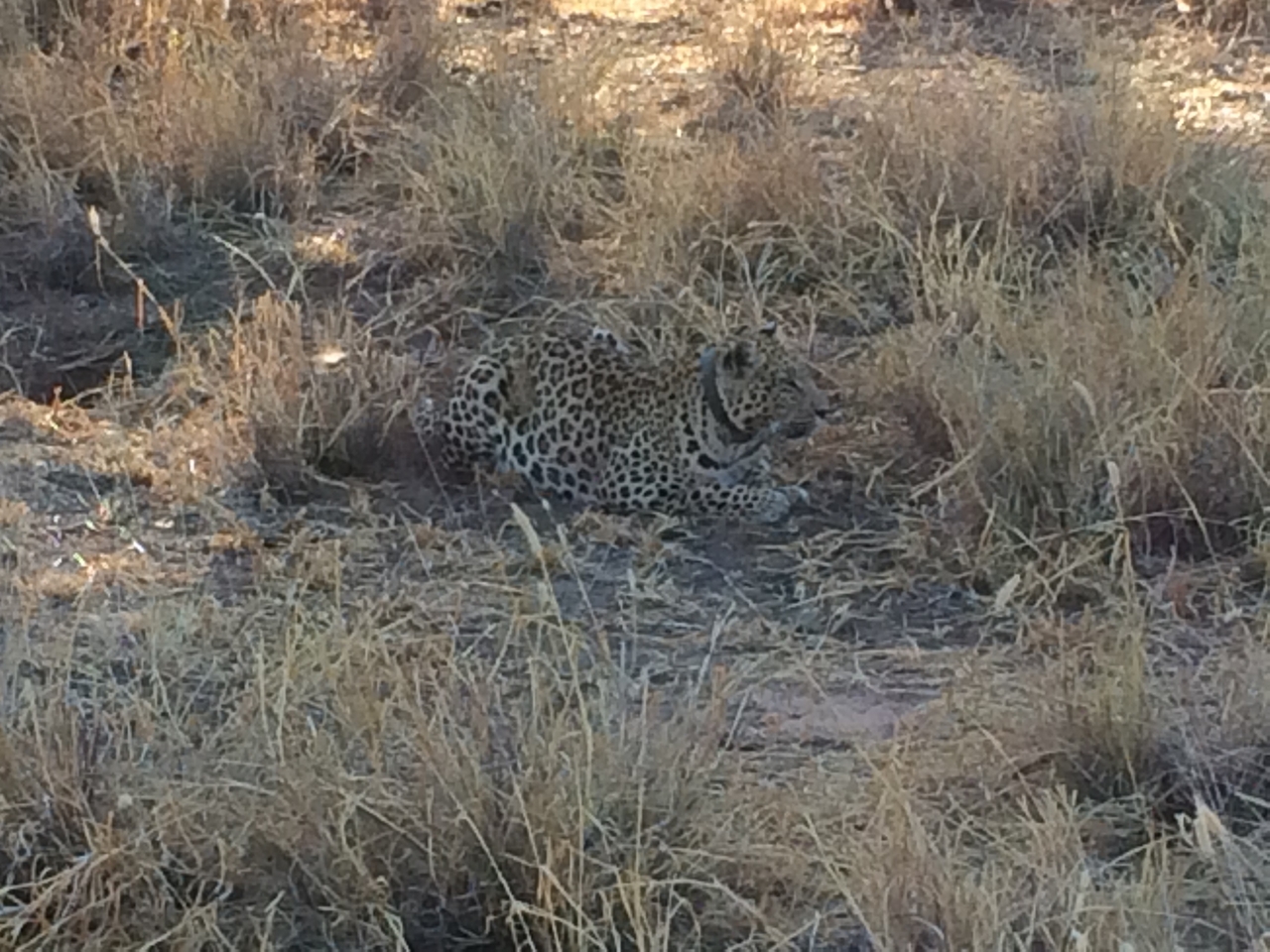 [2595] 2016_06_22_10_59_18_Africa_iPhone_5s_IMG__05827.jpg