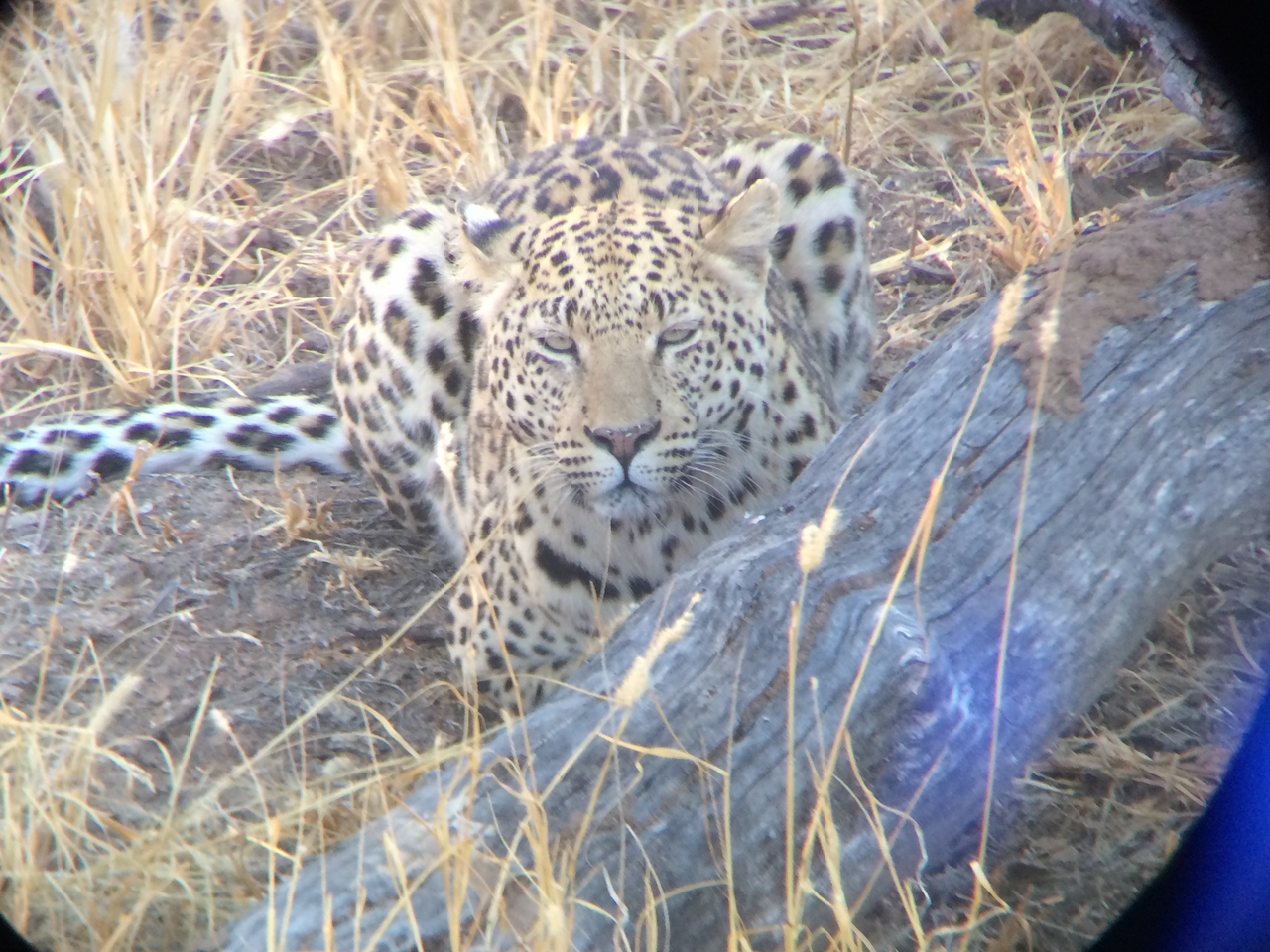 [3093] 2016_06_22_11_22_42_Africa_iPhone_5s_IMG_8100_05834.jpg