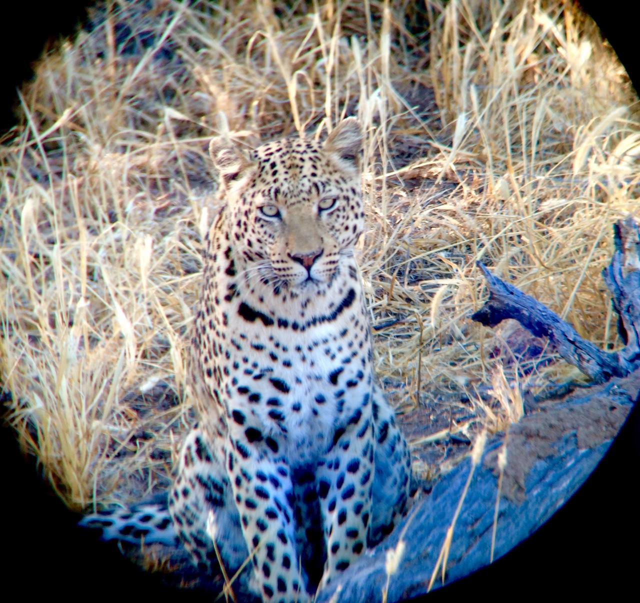 [3208] 2016_06_22_11_23_30_Africa_iPhone_5s_IMG_8107_00224.jpg