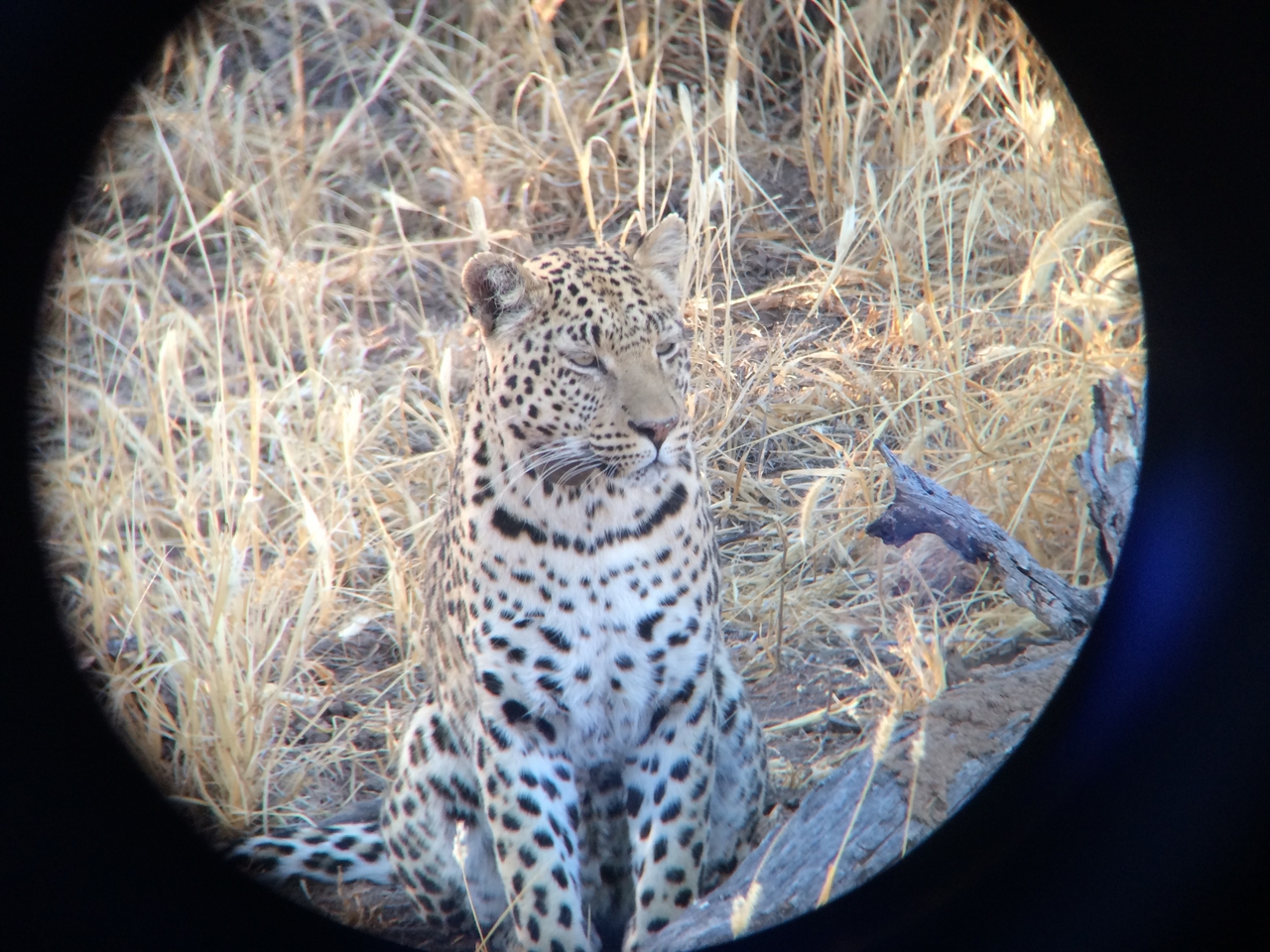 [3224] 2016_06_22_11_23_39_Africa_iPhone_5s_IMG_8112_05842.jpg