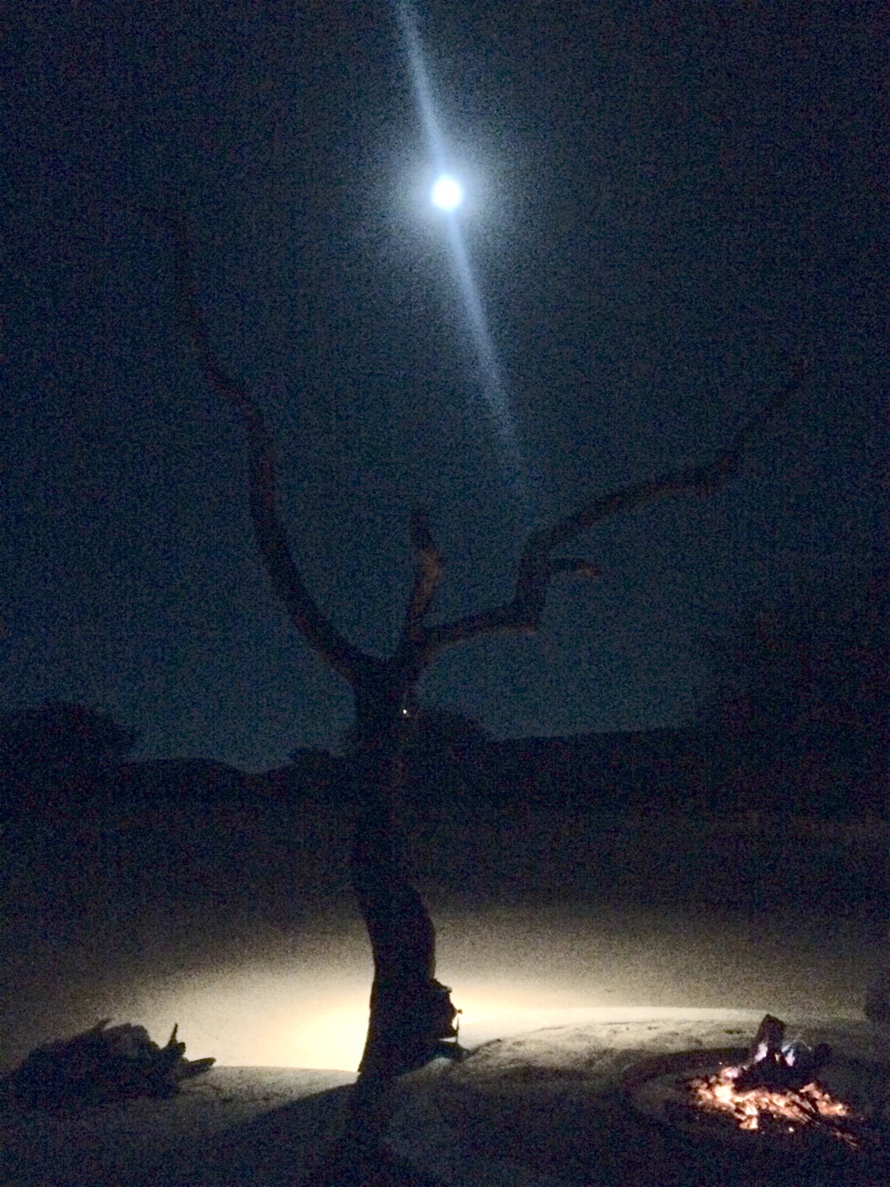 [3637] 2016_06_22_16_57_32_Africa_iPhone_5s_IMG_8123_05852.jpg