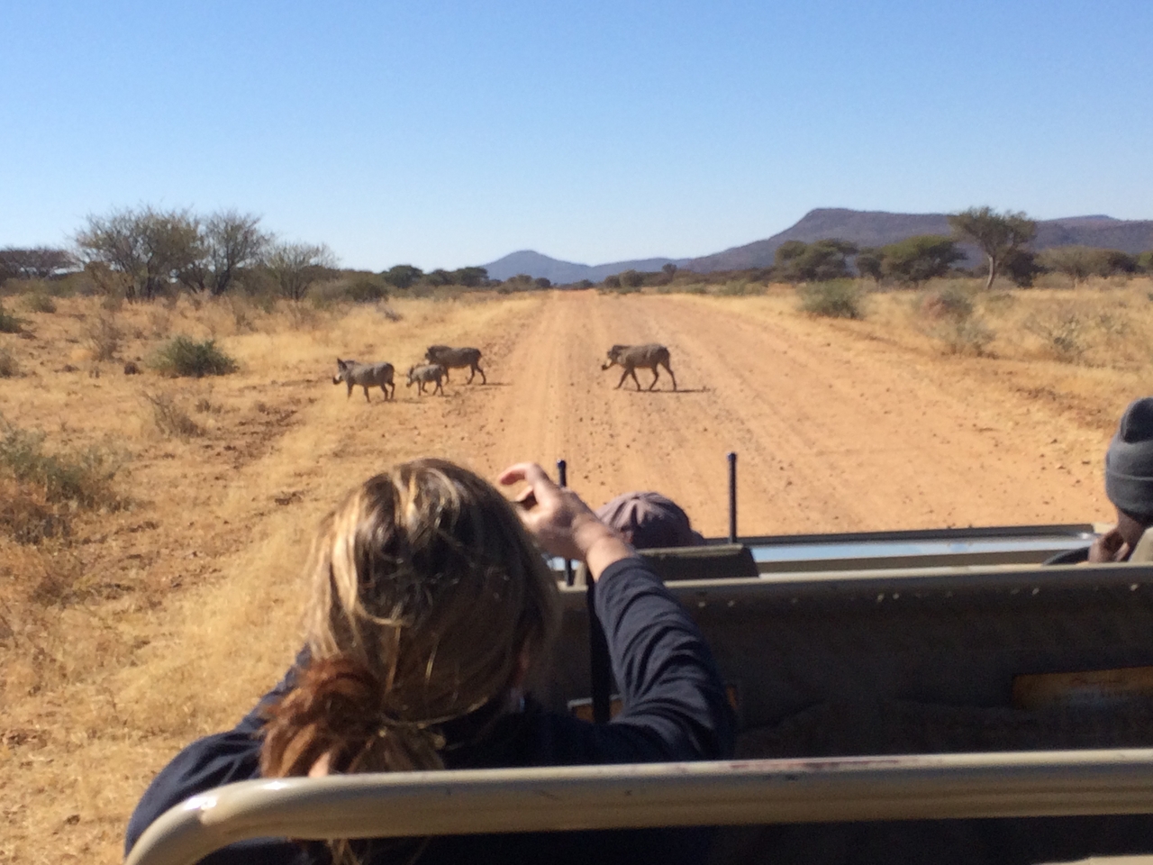 [5009] 2016_06_23_05_15_04_Africa_iPhone_5s_IMG_8167_05906.jpg