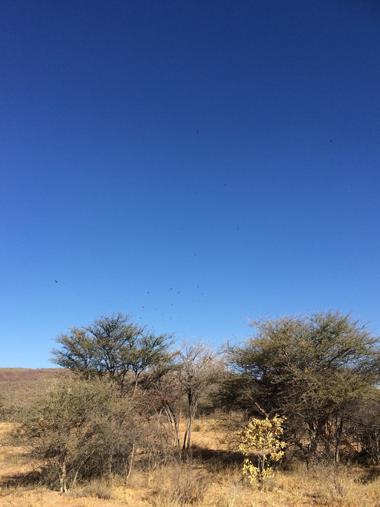 [5366] 2016_06_23_09_56_51_Africa_iPhone_5s_IMG_8170_00296.jpg