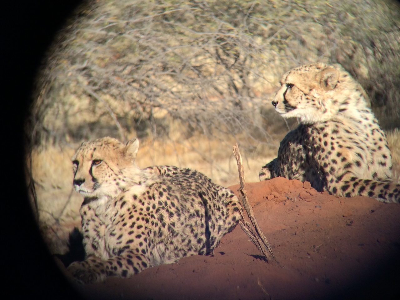 [6586] 2016_06_23_10_55_01_Africa_iPhone_5s_IMG_8193_00334.jpg