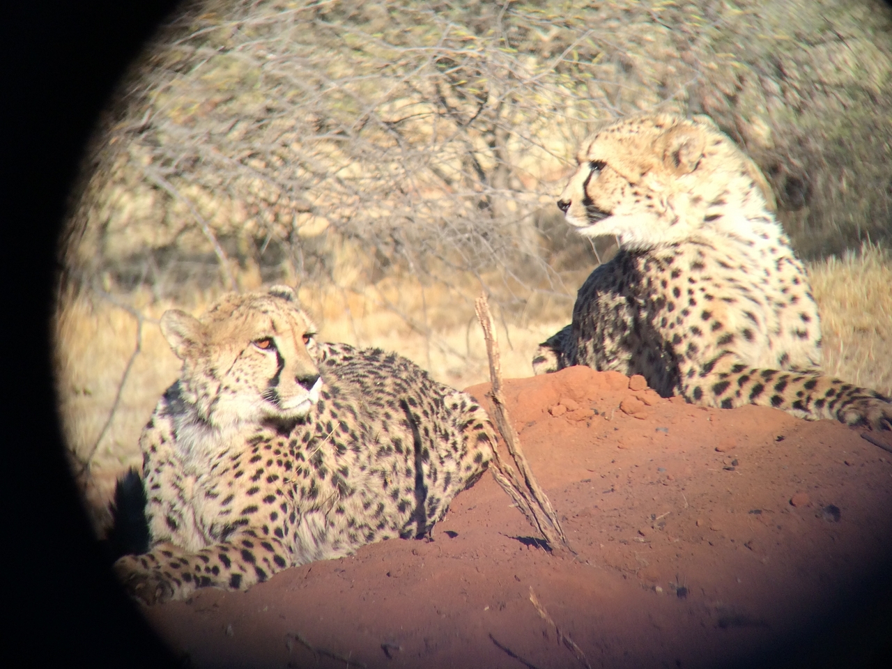 [6590] 2016_06_23_10_55_03_Africa_iPhone_5s_IMG_8194_00336.jpg