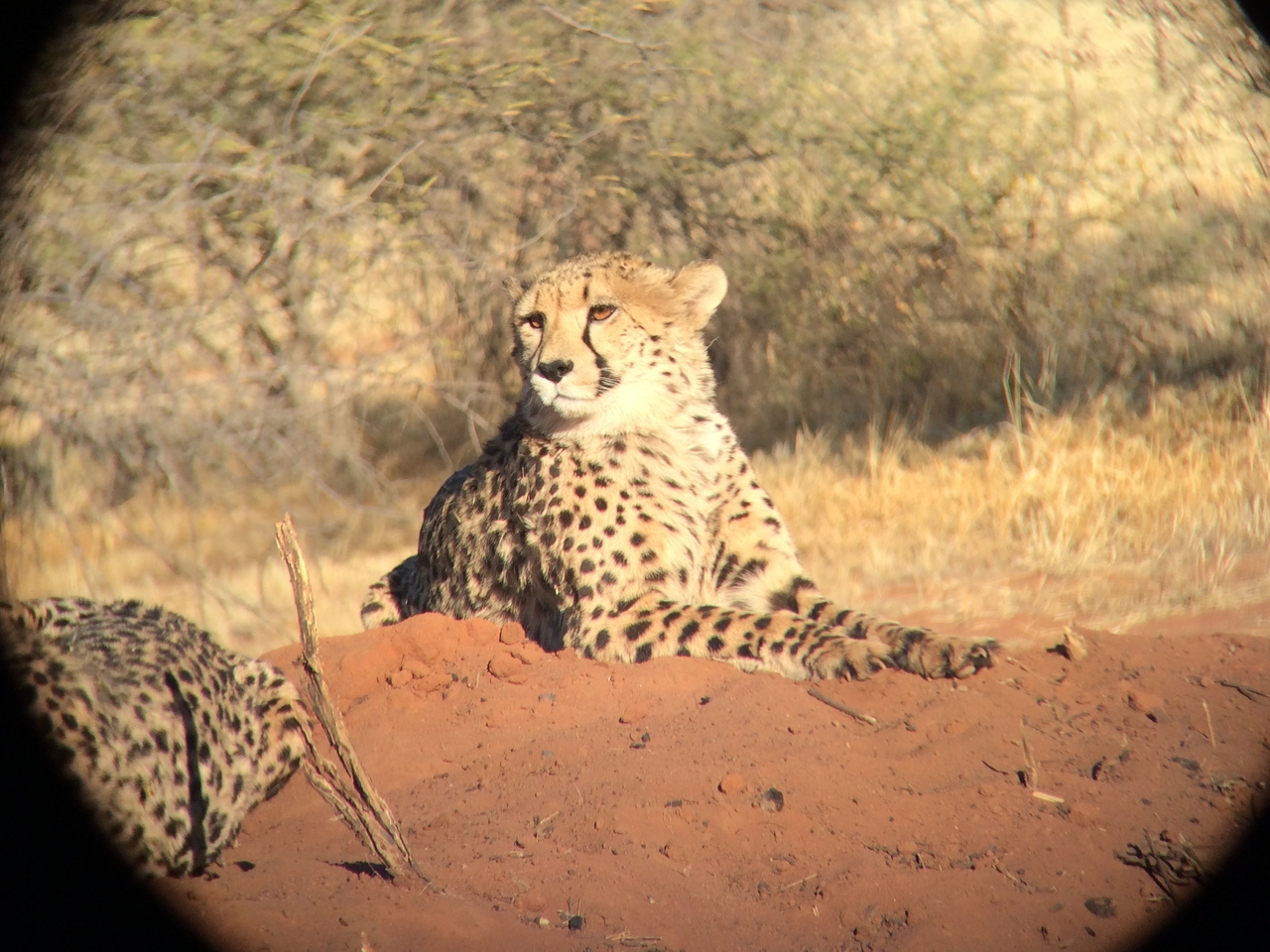 [6635] 2016_06_23_10_55_55_Africa_iPhone_5s_IMG_8197_00342.jpg