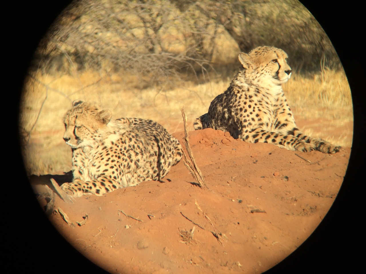 [6835] 2016_06_23_11_00_33_Africa_iPhone_5s_IMG_8206_05964.jpg