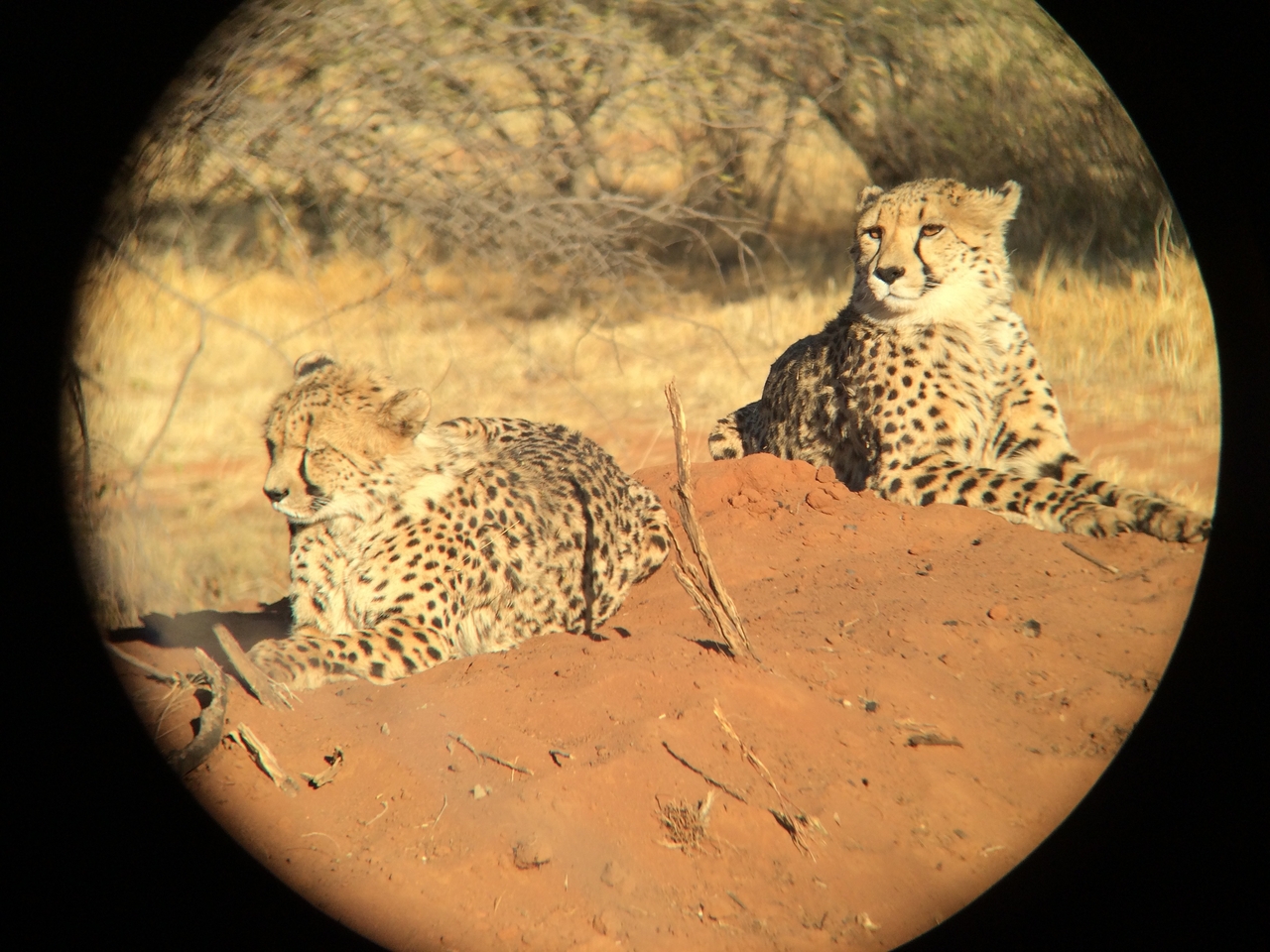[6842] 2016_06_23_11_00_38_Africa_iPhone_5s_IMG_8208_00354.jpg