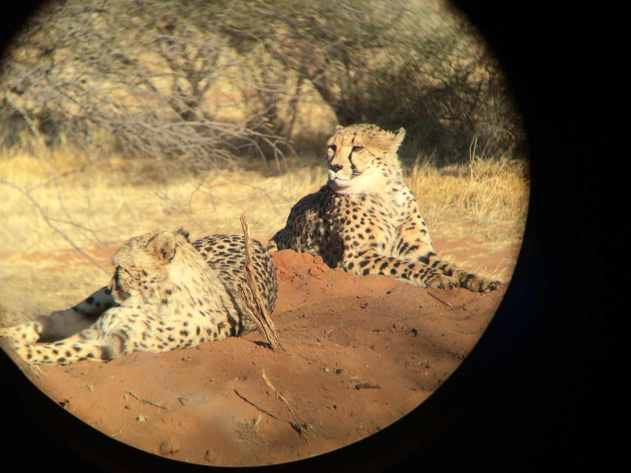 [6990] 2016_06_23_11_07_57_Africa_iPhone_5s_IMG_8212_05974.jpg
