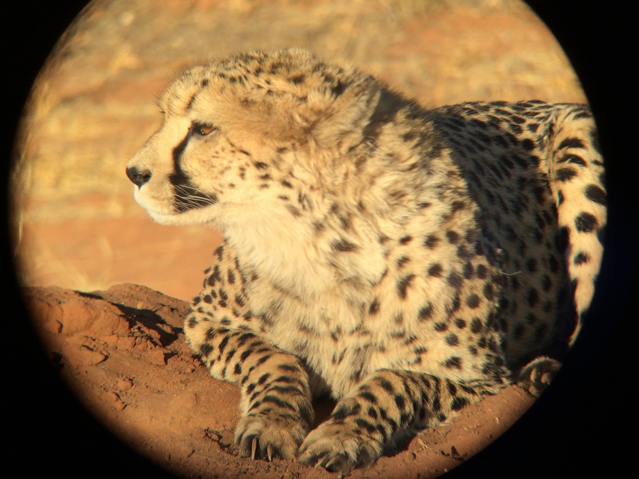 [7115] 2016_06_23_11_14_29_Africa_iPhone_5s_IMG_8218_00372.jpg