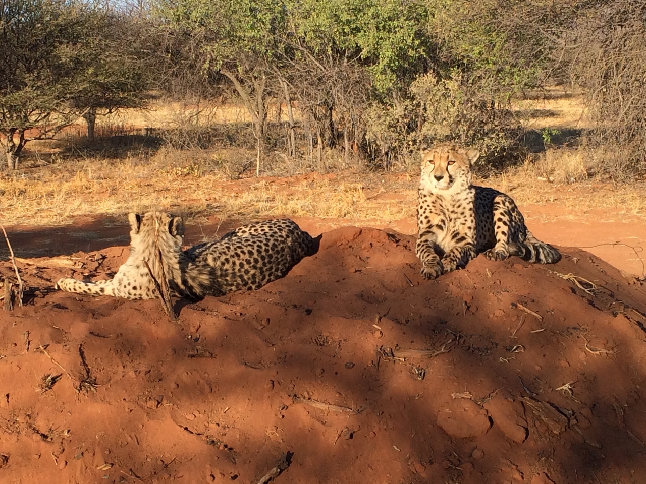 [7123] 2016_06_23_11_15_08_Africa_iPhone_5s_IMG_8220_00376.jpg