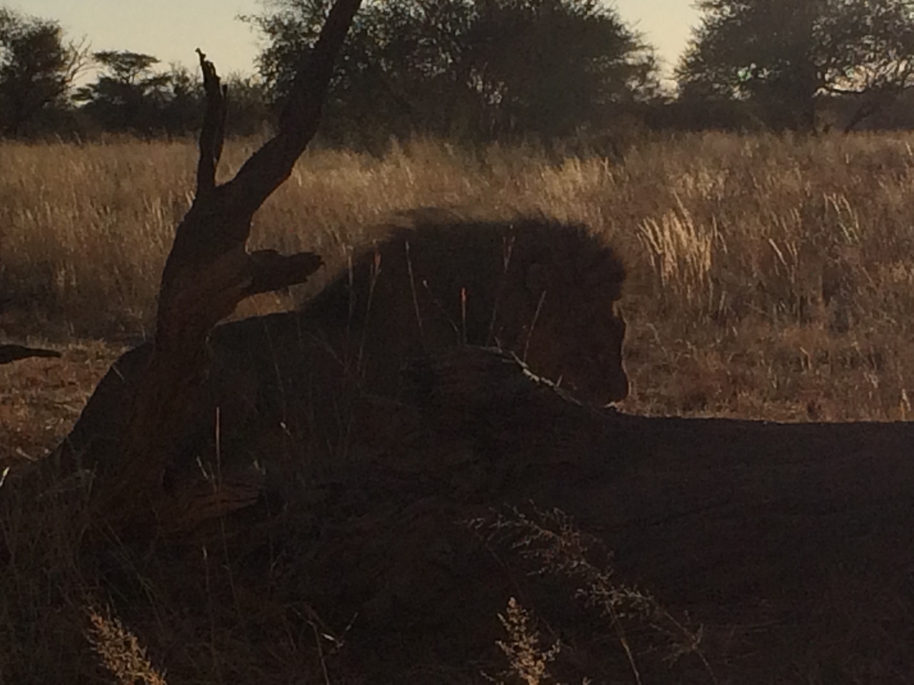 [7405] 2016_06_23_11_40_19_Africa_iPhone_5s_IMG_8227_06000.jpg