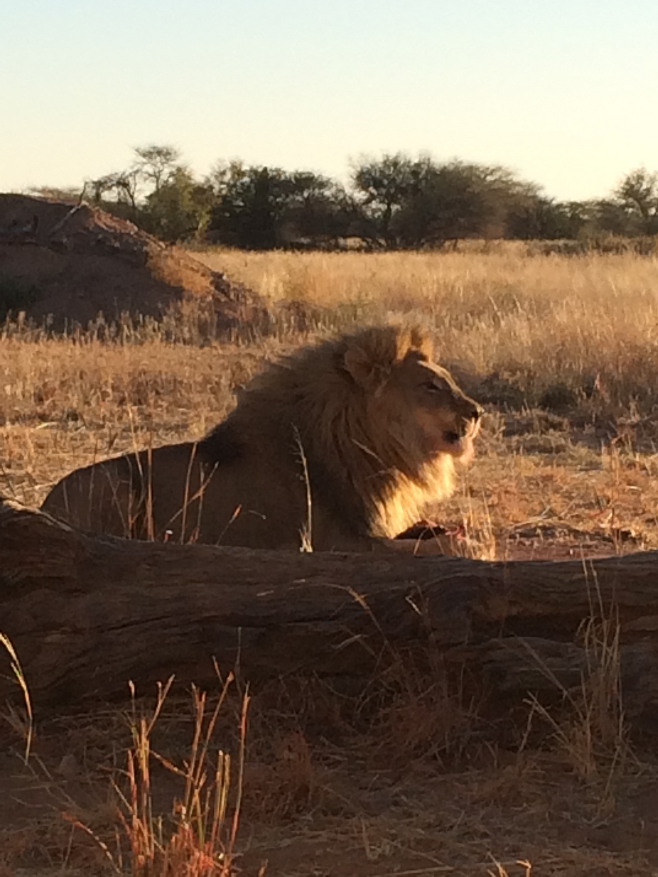 [7506] 2016_06_23_11_41_08_Africa_iPhone_5s_IMG_8230_06004.jpg