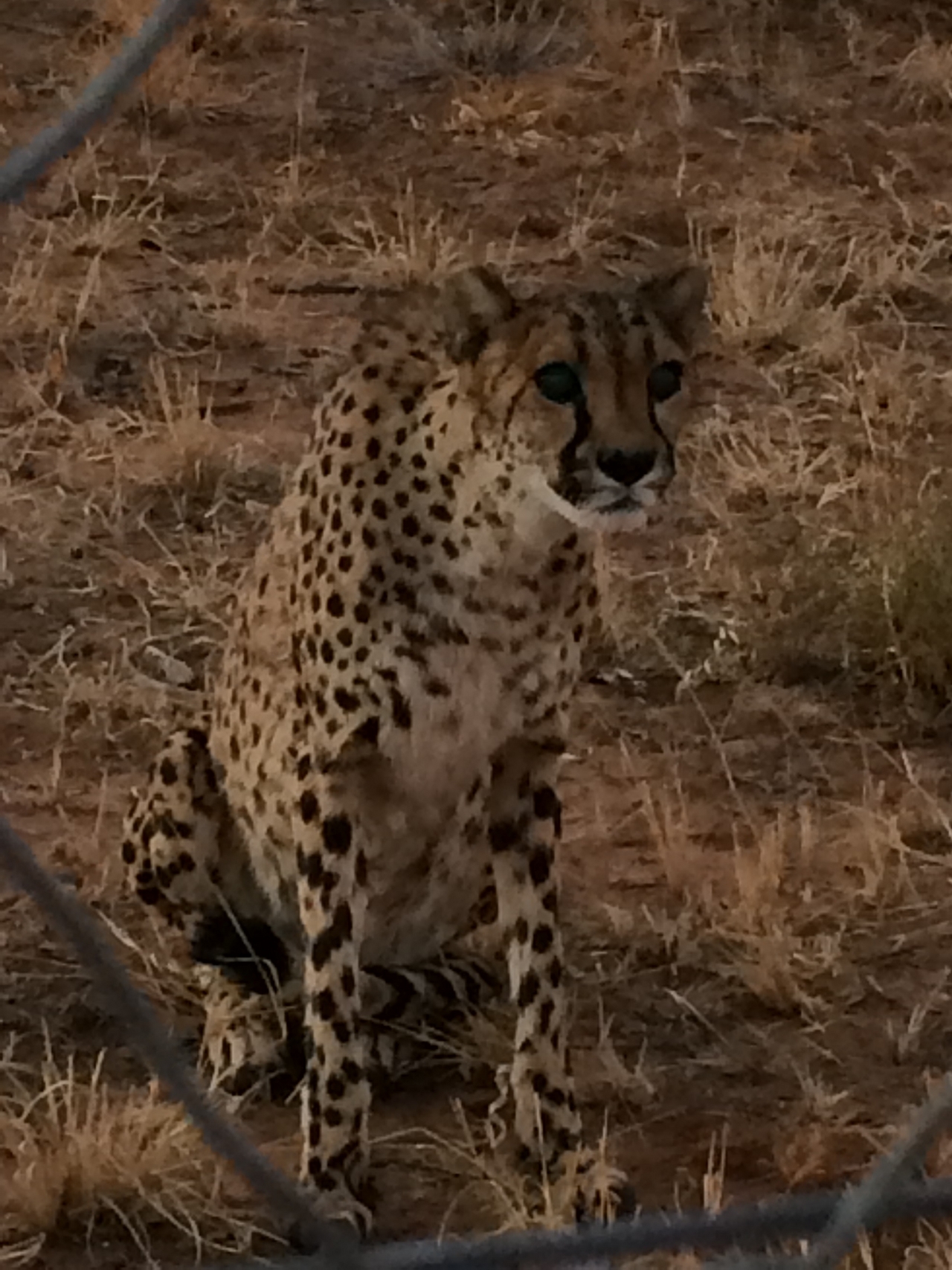 [8944] 2016_06_23_12_28_30_Africa_iPhone_5s_IMG_8258_00428.jpg